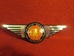 Wings Bonnet Badge, Mark II, III, IV Austin-Healey Sprite, New - RM00446