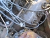 Daimler 2 1/2 250 Hemi V8 Engine - 