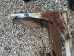 Early Jaguar XK120 Seat Frames for Restoration  - Early 120 seat frames