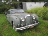 Jaguar Mark IX Grille, original 